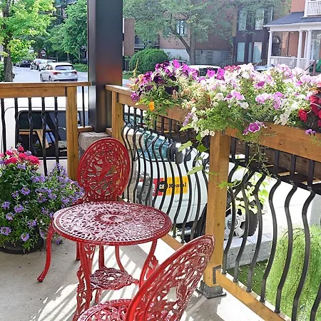Downtown Executive Retreat With Private Balcony Near Bank Street - Sleep Max 2 *