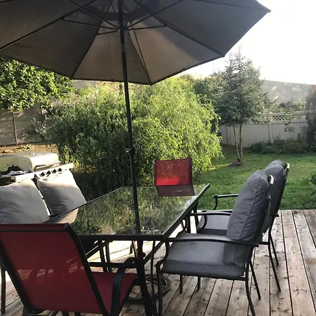 A Bright Specious 1 Bedroom Unit In The Basement *