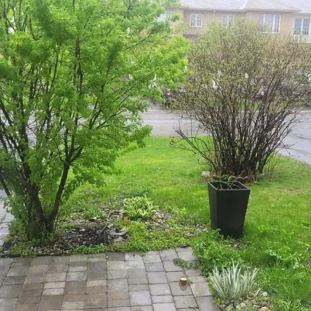 Private Homestay In Kanata South Homestay *