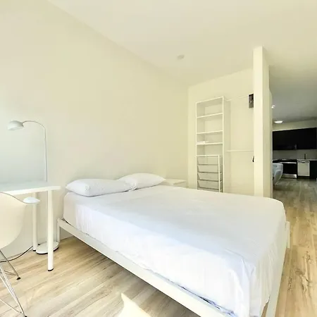 Charming 1 Bed In Prime Westboro Apartment