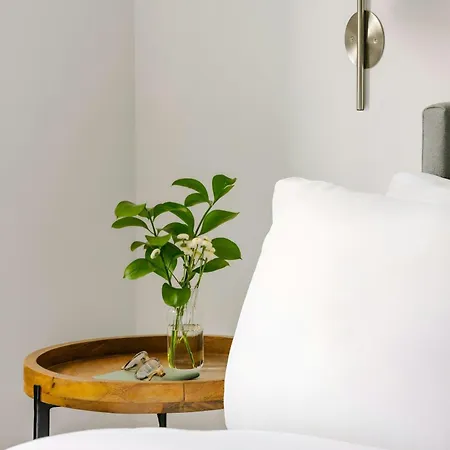 Sonder By Marriott Bonvoy The O'connor Downtown 4* Ottawa