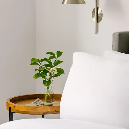 Sonder By Marriott Bonvoy The O'connor Downtown 4* Ottawa