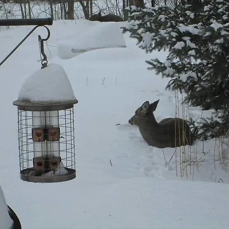 Gite De Brouage 3* Ottawa