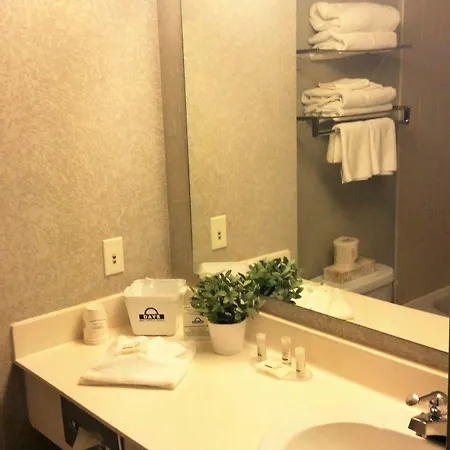 Days By Wyndham Airport Hotel 3*