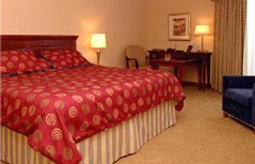 Hilton Garden Downtown