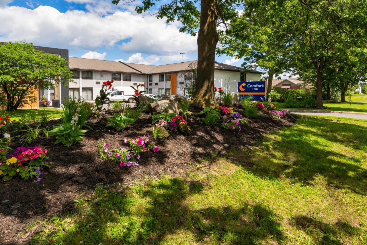 Comfort West Inn Ottawa
