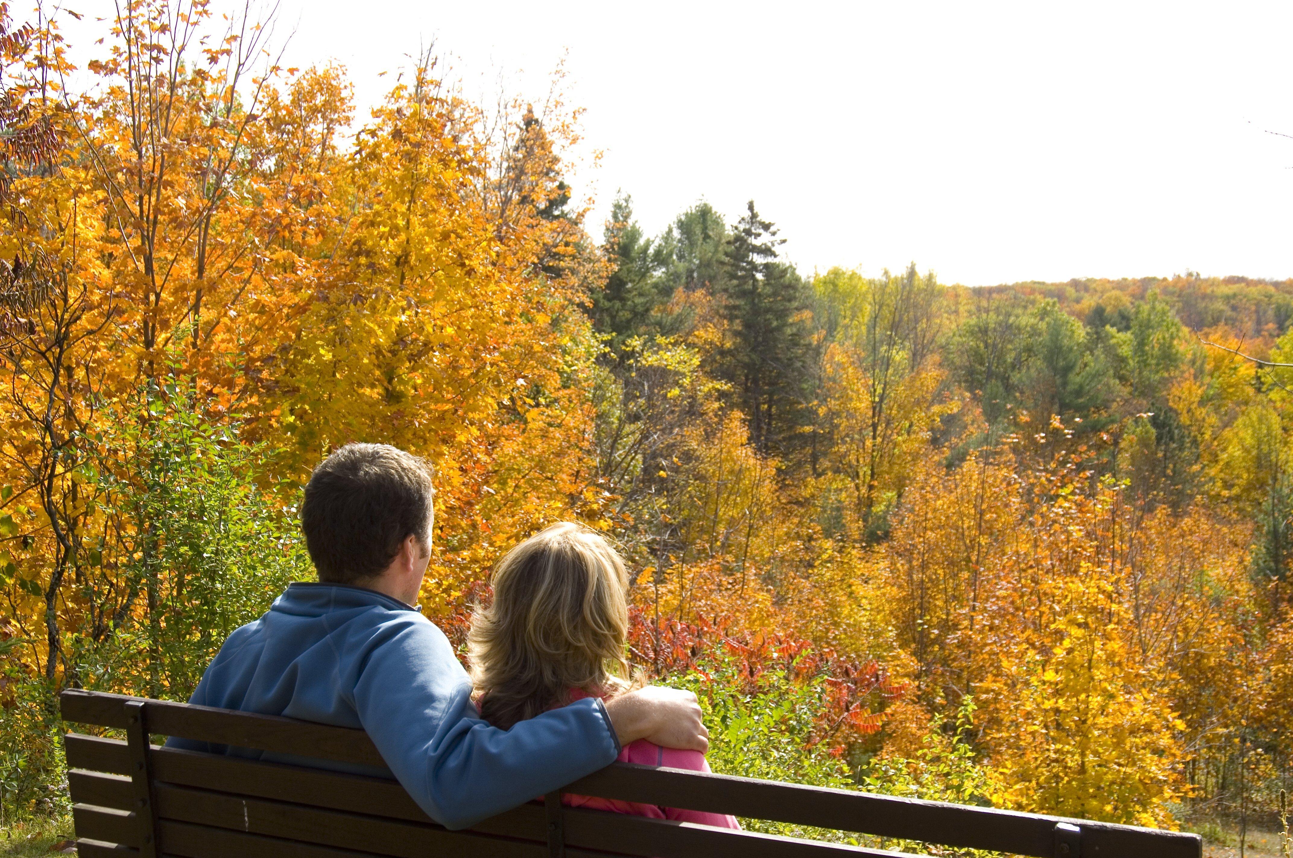 Express & West - Nepean By Ihg 2*