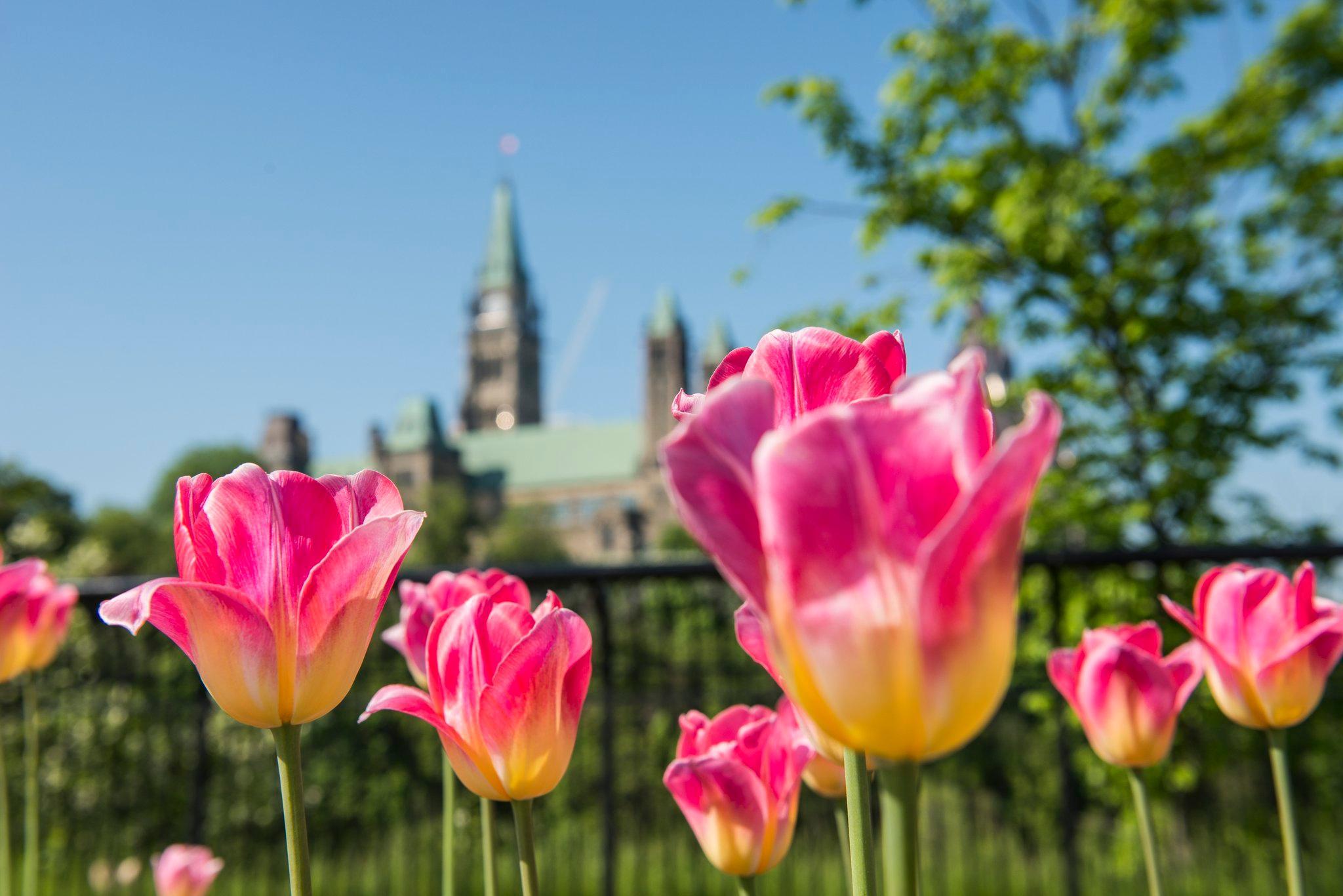 Hotel Express & West - Nepean By Ihg Ottawa