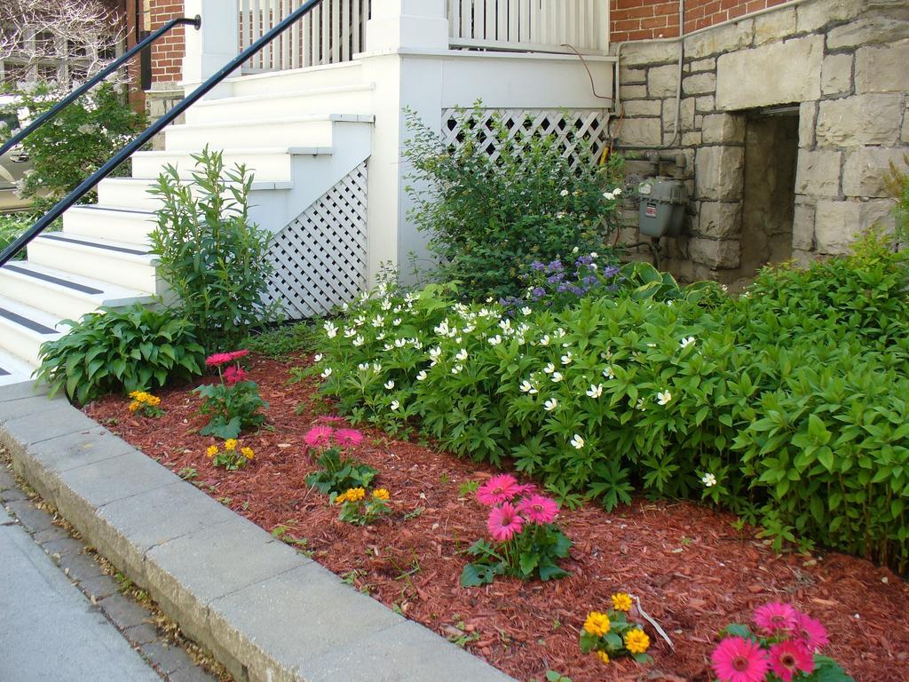 Albert House Bed & Breakfast Ottawa