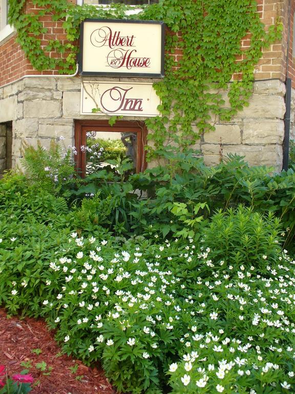 Bed & Breakfast Albert House 3*