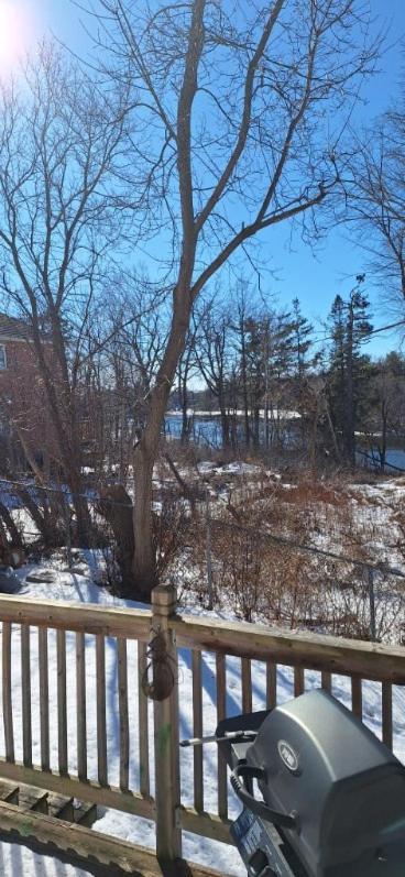 Nature Retreat In The City Guest house Ottawa