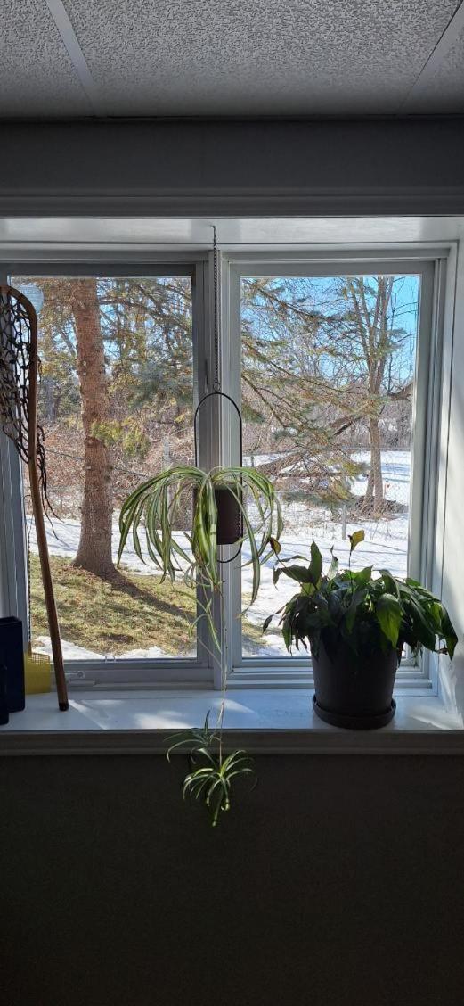 Nature Retreat In The City