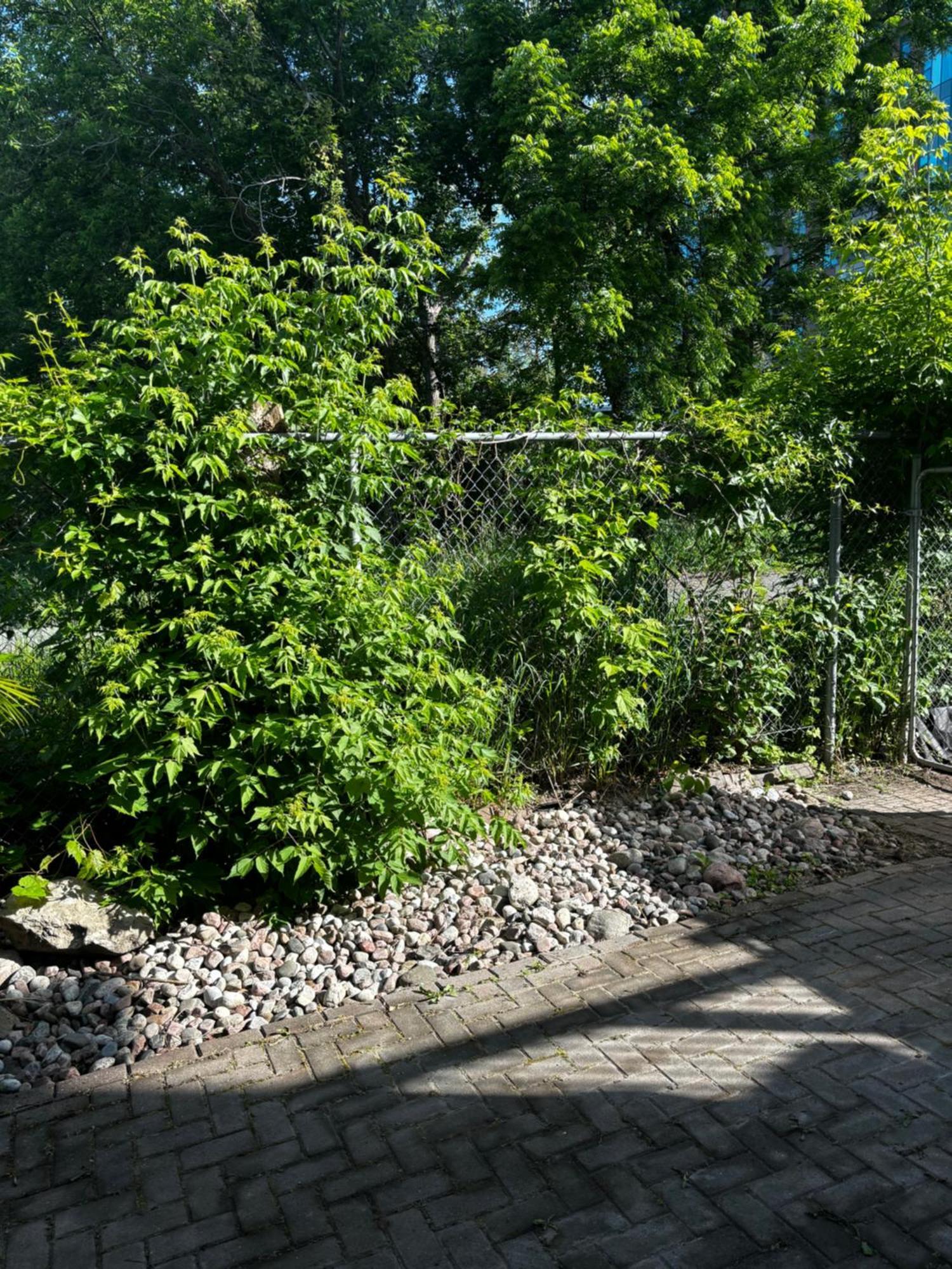 Nature Retreat In The City Guest house *