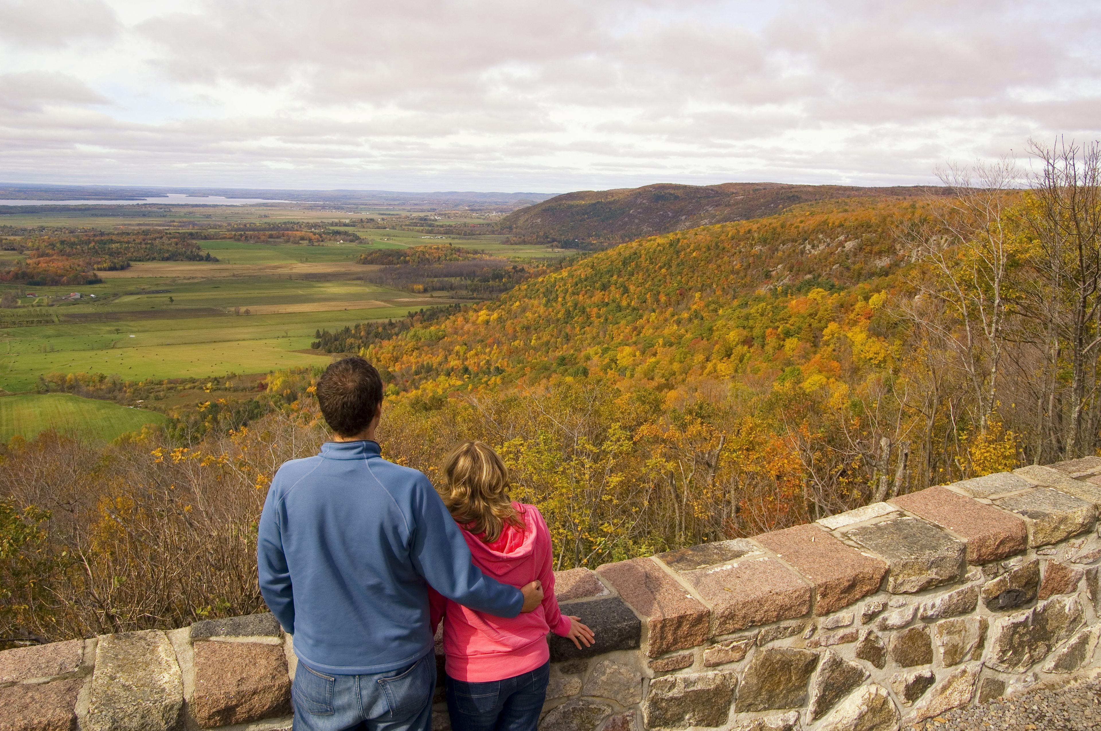 Courtyard By Marriott Downtown 3*