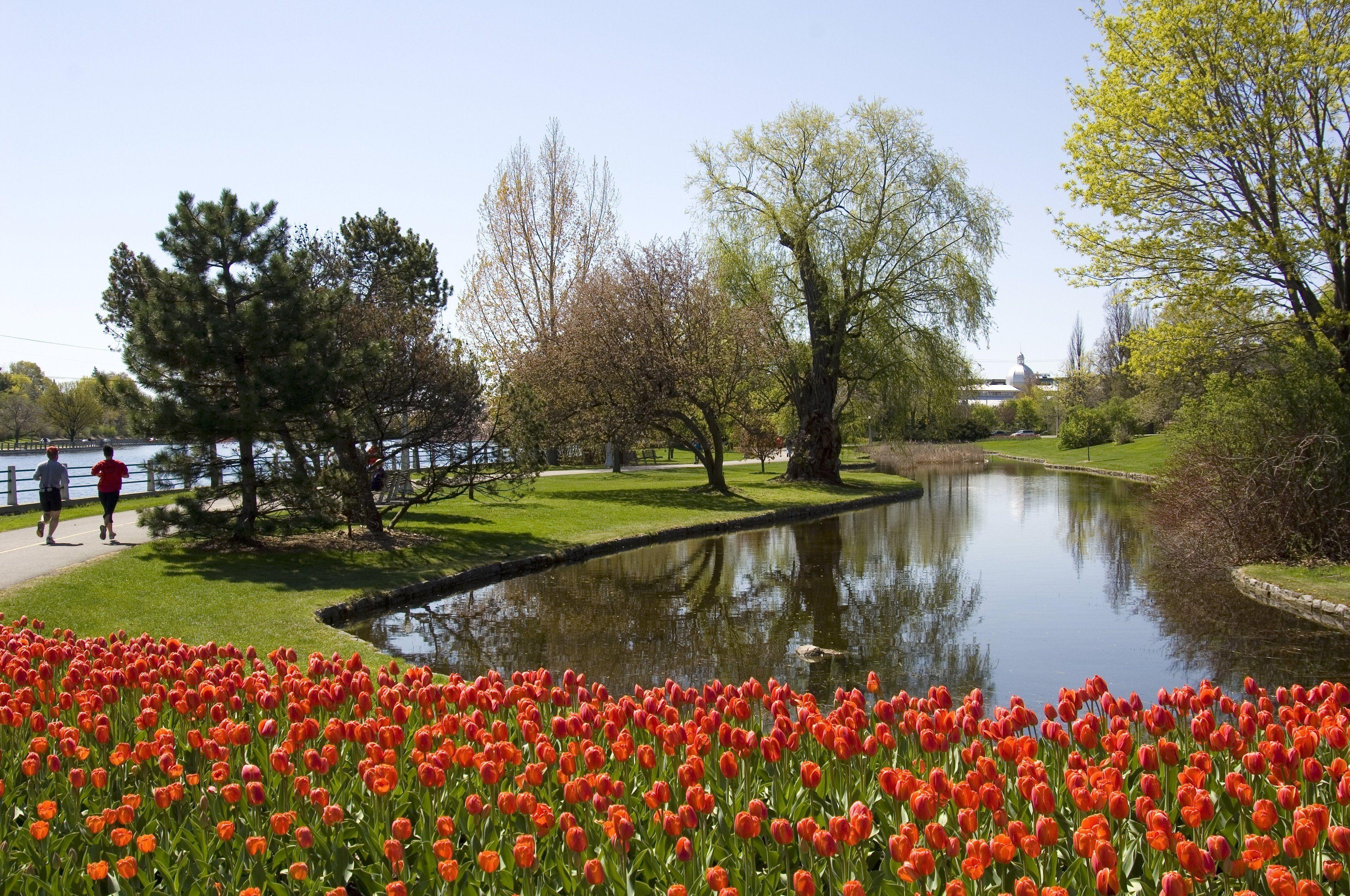 Express & West - Nepean By Ihg 2* Ottawa