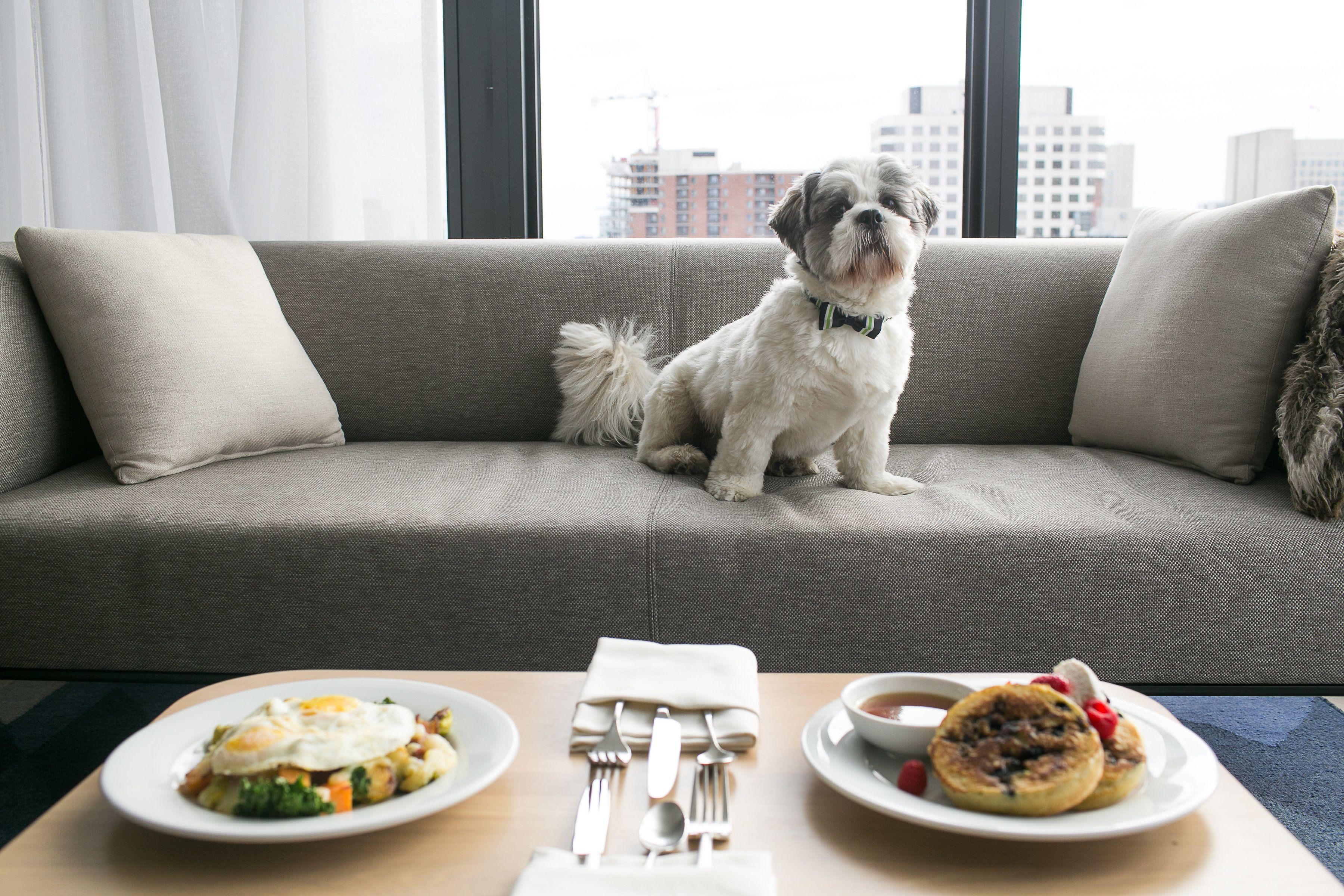 Hotel Andaz Ottawa Byward Market, By Hyatt