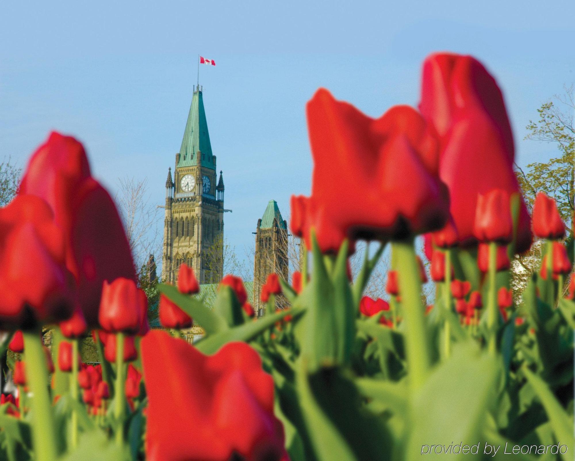 - Dwtn - Parliament Hill By Ihg Hotel Ottawa