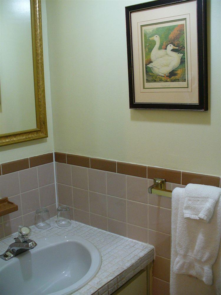 Albert House Bed & Breakfast