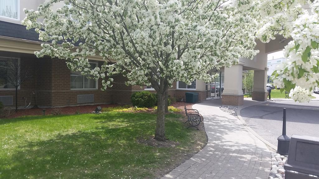 Hotel Days By Wyndham Airport 3*