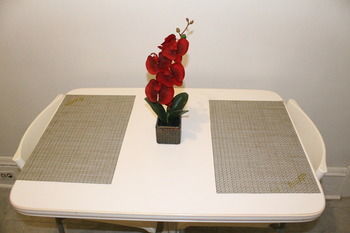 Adib - 362 Friel St, Unit 2 * Ottawa