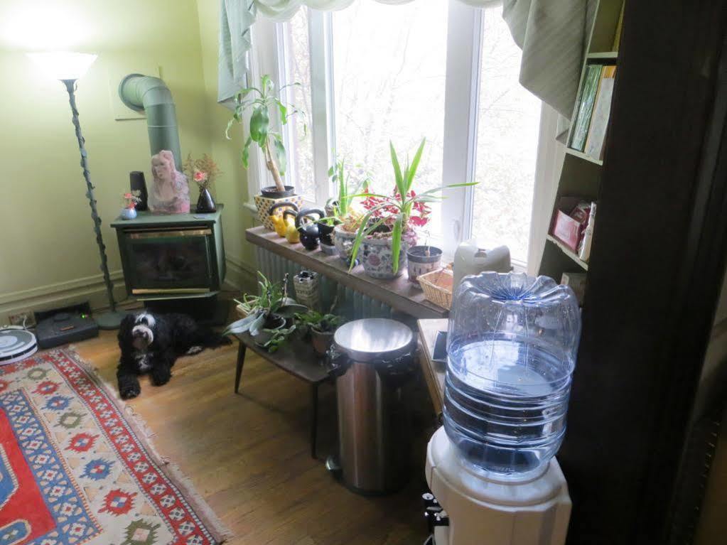 Downtown Bed & Breakfast