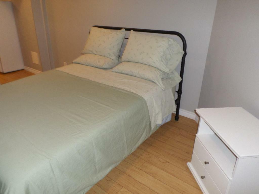 Fantastic And Modern Downtown 1-bed Basement Apt., Parking Wi-fi And Netflix Included Ottawa