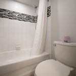 Modern Studio In The Heart Of Ottawa