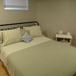 Fantastic And Modern Downtown 1-Bed Basement Apt., Parking Wi-Fi And Netflix Included