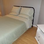 Fantastic And Modern Downtown 1-Bed Basement Apt., Parking Wi-Fi And Netflix Included