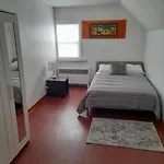 Cheerful 2-Bedroom Near Downtown With Free Parking