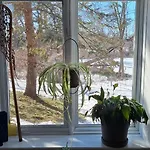 Nature Retreat In The City