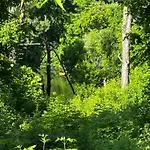 Guest house Nature Retreat In The City
