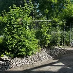 Nature Retreat In The City Guest house *