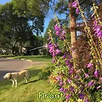 Graham Homestay