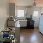 New Oasis