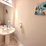 Graceful Oasis
