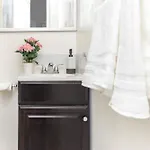 Pet Friendly Suite- In Chinatown * Ottawa