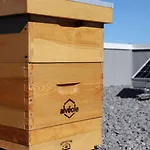 Hyatt Place Ottawa West