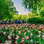 Holiday Inn Ottawa East By Ihg