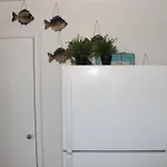 Adib Apartments - 625 Borthwick Ave, Unit 9