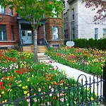 Auberge King Edward Bed And Breakfast