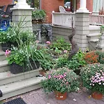 Avalon Bed And Breakfast