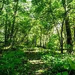 Strathmere