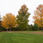 High Trees Bed & Breakfast