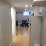 Fantastic And Modern Downtown 1-bed Basement Apt., Parking Wi-fi And Netflix Included Apartment Ottawa