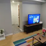 Fantastic And Modern Downtown 1-bed Basement Apt., Parking Wi-fi And Netflix Included *