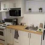 Fantastic And Modern Downtown 1-Bed Basement Apt., Parking Wi-Fi And Netflix Included