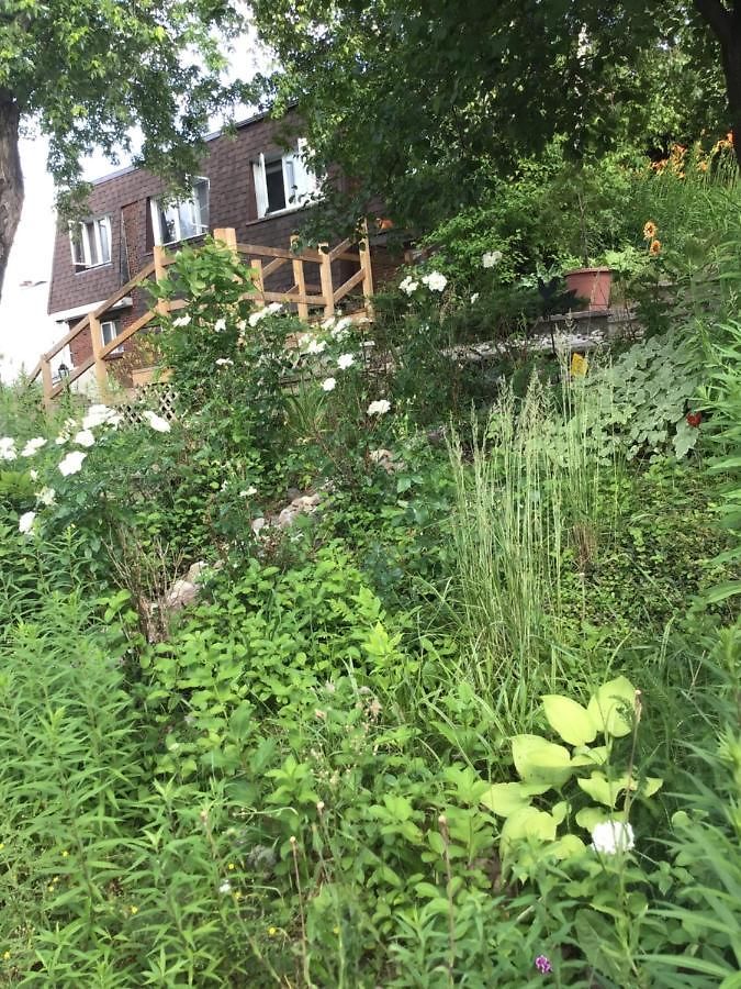 Mariya Studio 4 Guest house Ottawa