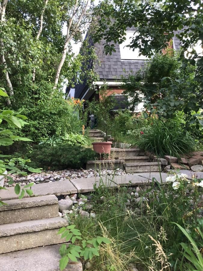 Mariya Studio 4 Guest house