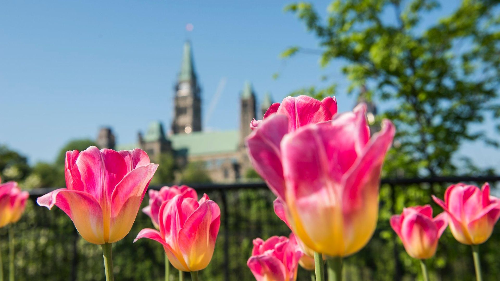 Hotel Express & West - Nepean By Ihg Ottawa